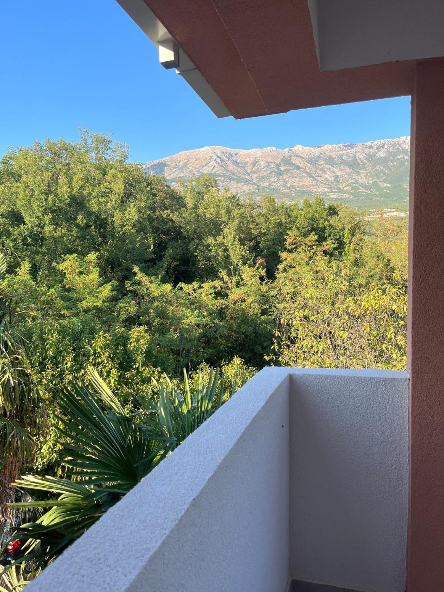 Apartments Two Olives Kotor Ngoại thất bức ảnh